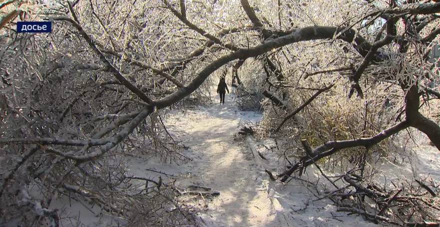 "Ледяной апокалипсис": герои событий 5-летней давности вспоминают, как это было