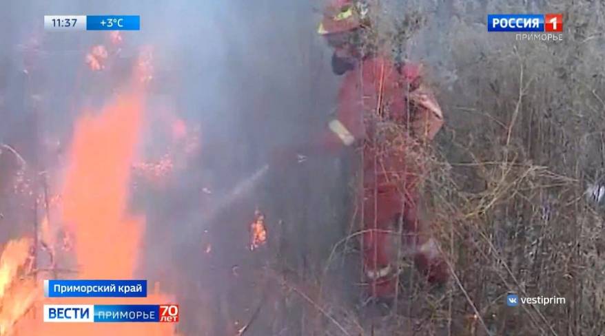 На защиту Приморья от огня встанут еще более 120 добровольных пожарных дружин