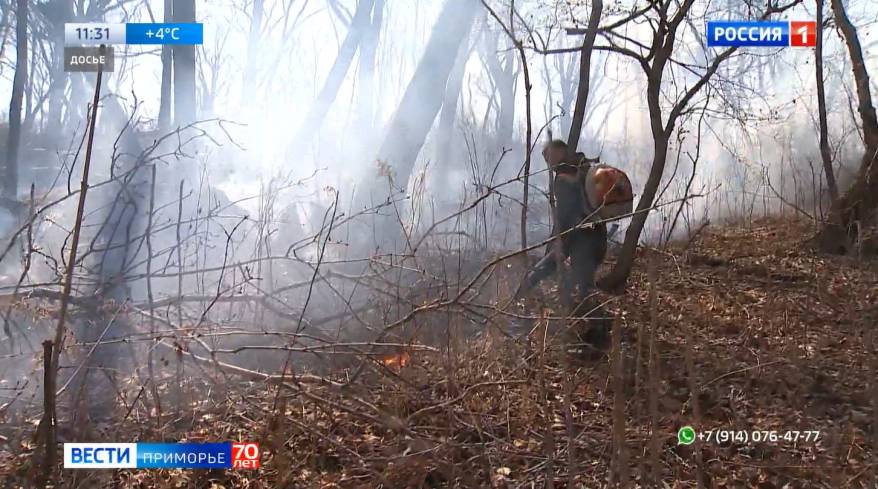 Огромные штрафы заплатят приморцы за нарушение противопожарной безопасности на природе