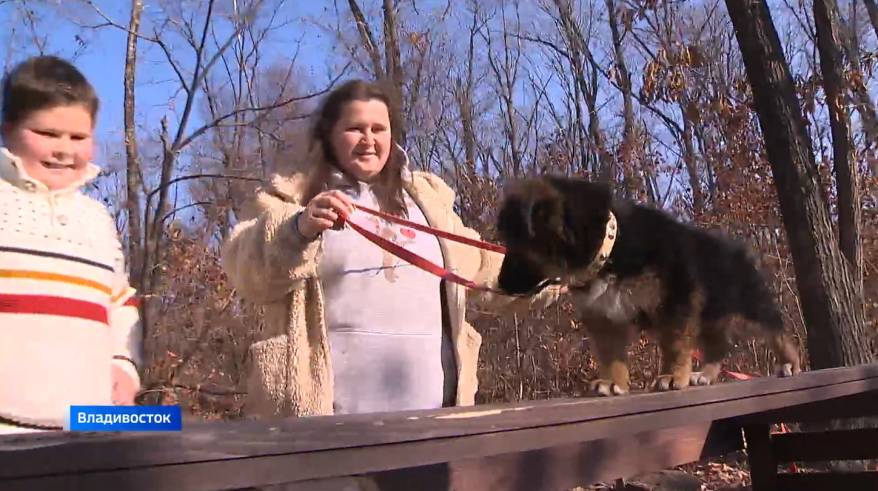 «Россия — семья семей»: на прогулки с собаками приглашают жителей Владивостока
