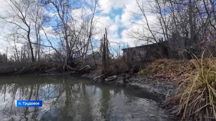 Некогда прозрачная и богатая рыбой река умирает в пригороде Владивостока