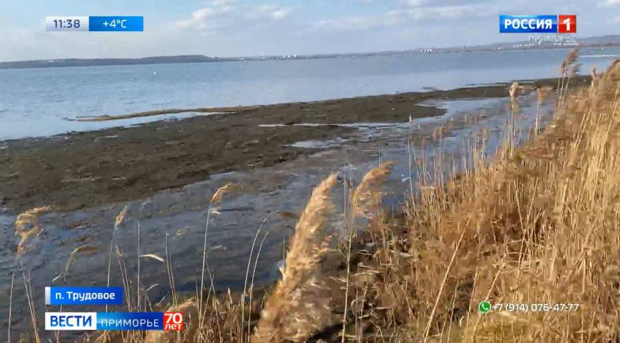 «Синяя» река пугает приморцев, вонь стоит на километры