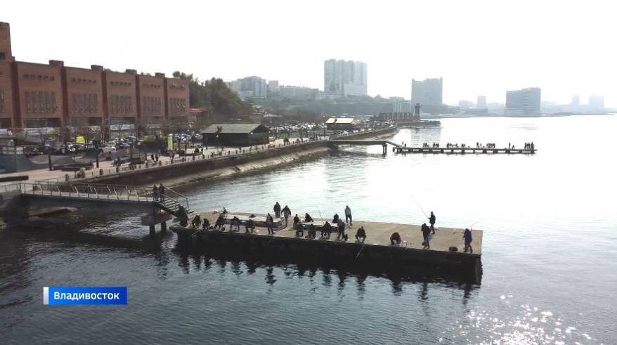 Исчезновение корюшки в Приморье. Что скрывается за этим явлением?