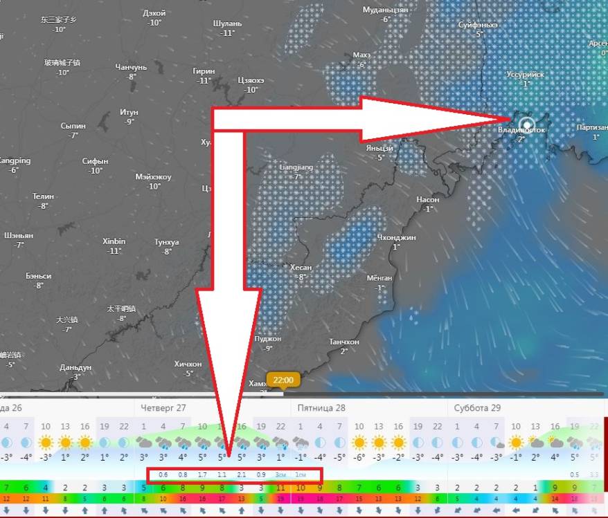 Метеокарты уточнили время снегопада во Владивостоке
