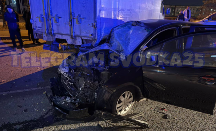 Шальная автоледи устроила массовое побоище во Владивостоке