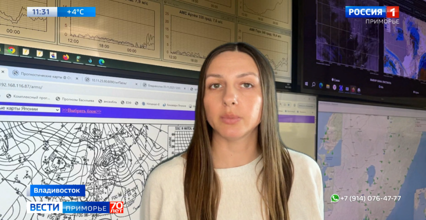 Приморье окажется во власти снежного циклона: уточненный прогноз