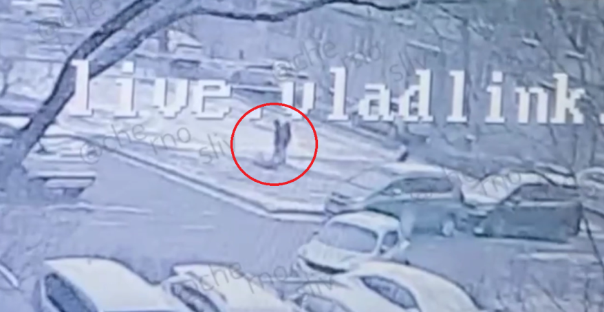 "Зачем так жестко?": Следком проводит проверку по факту нападения на ребенка в Приморье