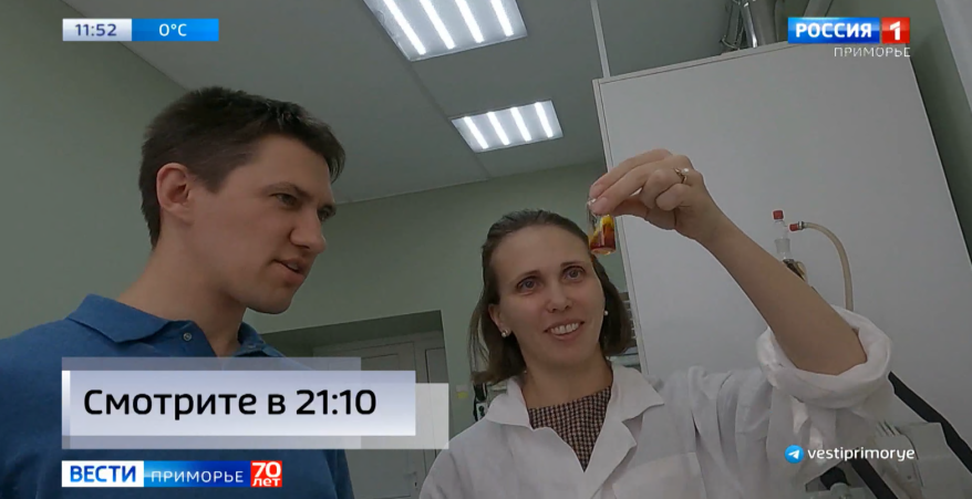 Инновационный подход к лечению ран предложили приморские ученые