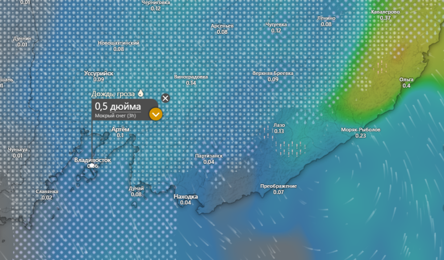 Накроет мощно: первый в этом сезоне серьезный снегопад обрушится на Владивосток