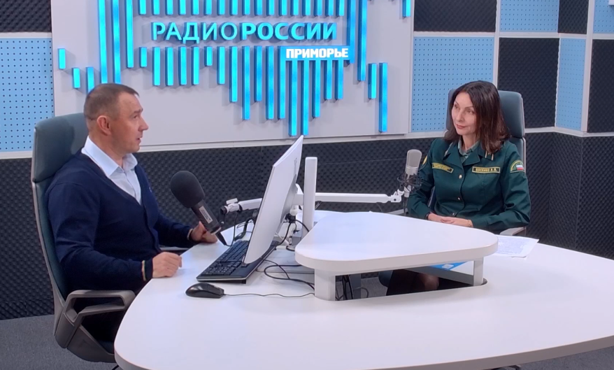 Как лесоустройство укрепляет природу Дальнего Востока? Интервью