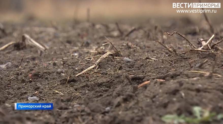 Приморец из ревности убил возлюбленную и закопал ее тело на своем земельном участке
