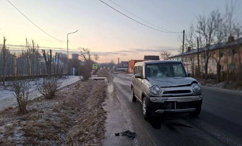 Школьник попал под автомобиль на пешеходном переходе в Артеме