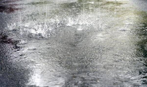 Cиноптики указали время самого сильного снегодождя во Владивостоке