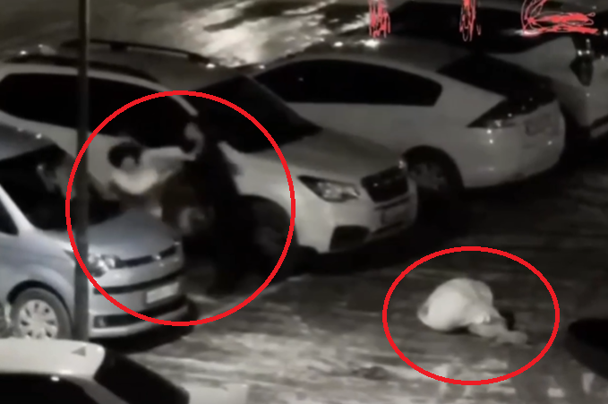 Дикое избиение двух женщин в Приморье: инцидентом заинтересовался глава Следкома