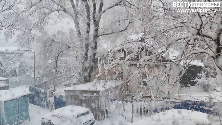 Снегодождь и похолодание: погода готовит новые испытания приморцам в предновогодние дни