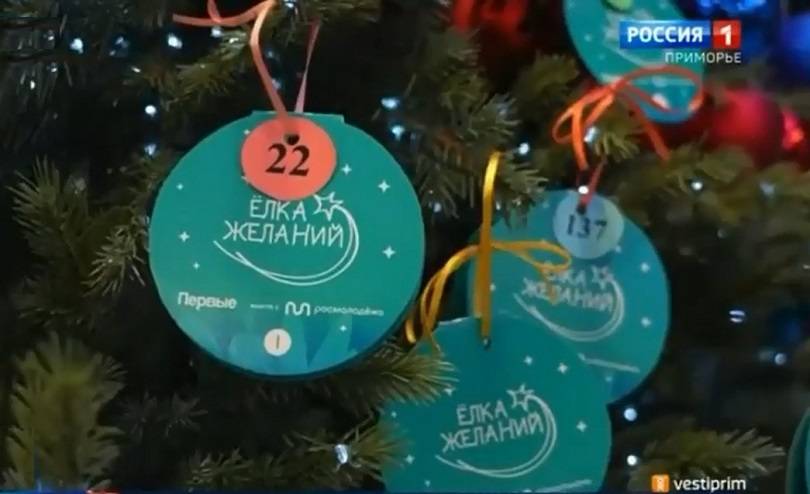 Традиционная «Елка желаний» стартовала во Владивостоке
