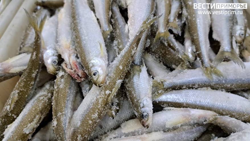 Корюшка с подвохом: предприниматель из Приморья провернул крупную аферу