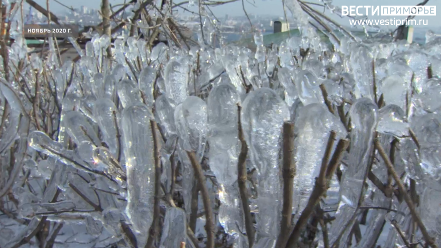 "Это будет ад для владивостокцев": погода готовит неприятный сюприз Приморью