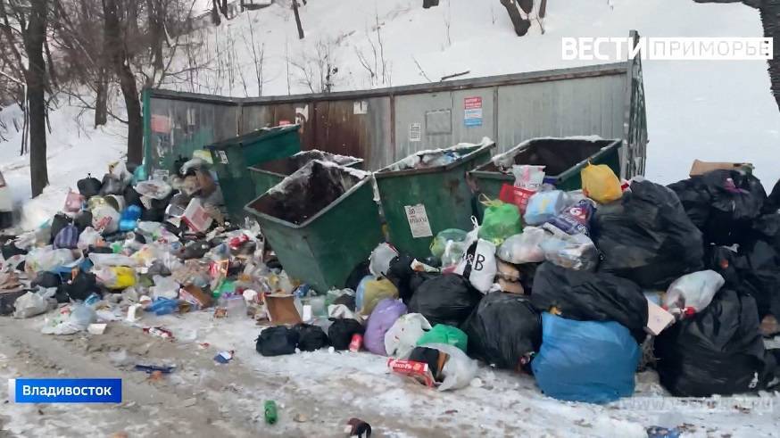 Мусорным завалам - нет: губернатор Приморья дал ряд указаний подчиненным