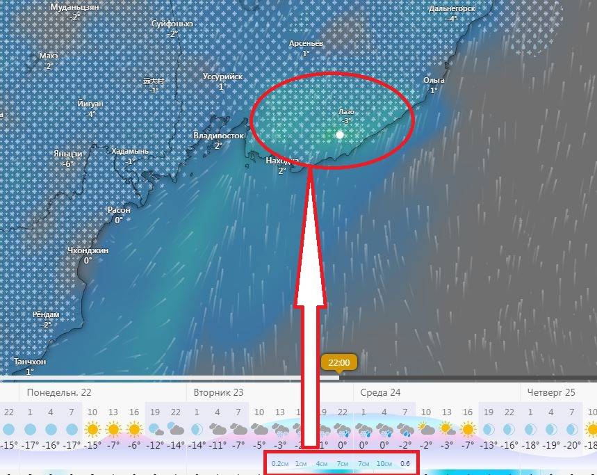 Мощный снегопад накроет Приморье (карта погоды)