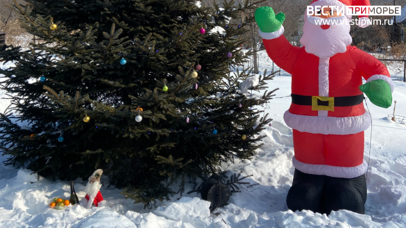 Шесть дней подряд: аномально снежные новогодние каникулы прогнозируют во Владивостоке