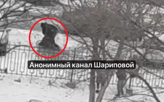 Побоище устроил мужчина возле роддома в Находке