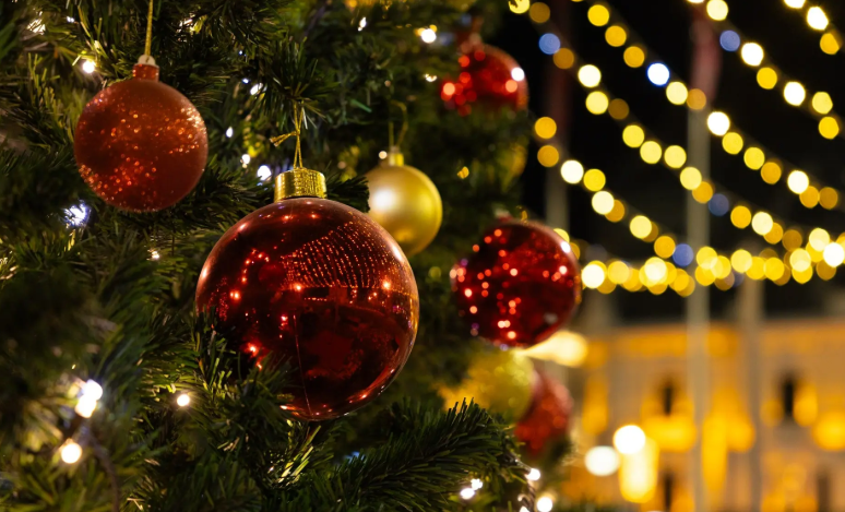 Новогодний городок с резиденцией Деда Мороза откроется во Владивостоке