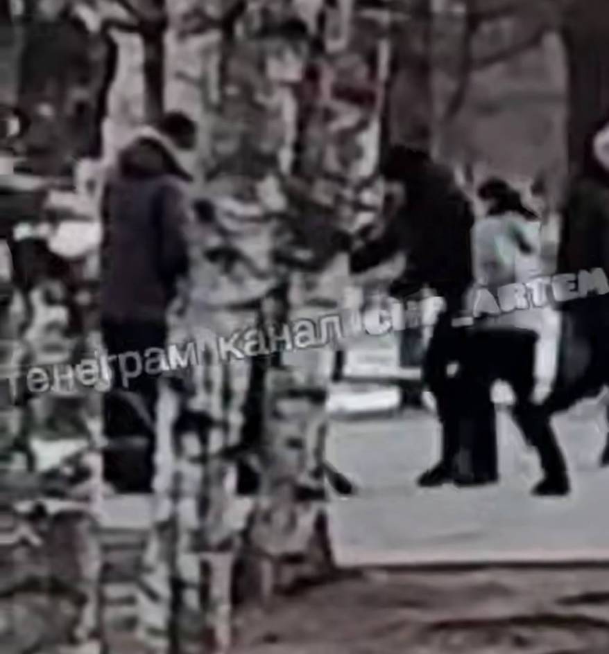 Драка в парке отдыха в Артеме: установлены личности участников инцидента