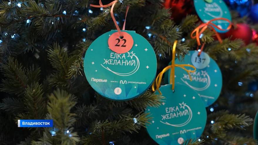 Традиционная «Елка желаний» стартовала во Владивостоке