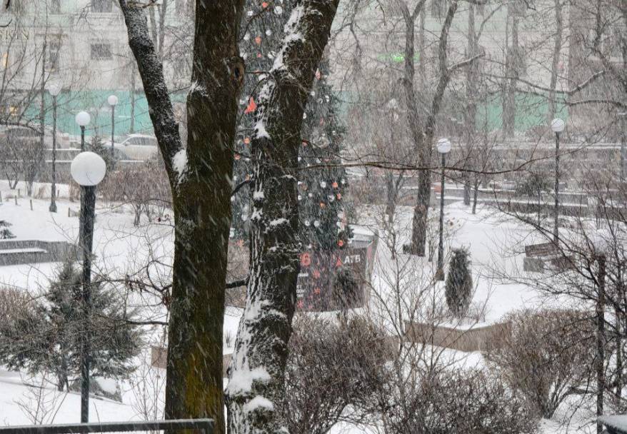 1го января 2026 года во Владивостоке будет до -17 °С