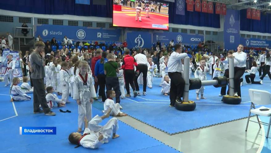 Самбисты и тхэквондисты показали уровень мастерства на открытом турнире по единоборствам во Владивостоке