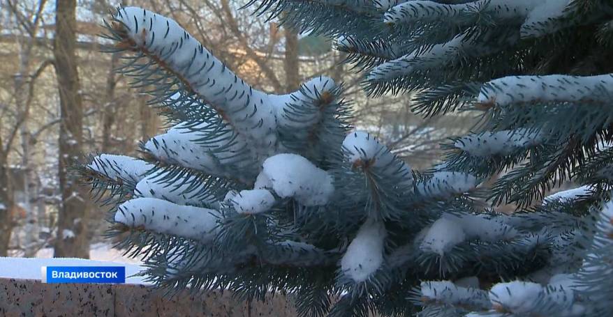 Морозы усилятся: синоптики рассказали о погодной аномалии в Приморье