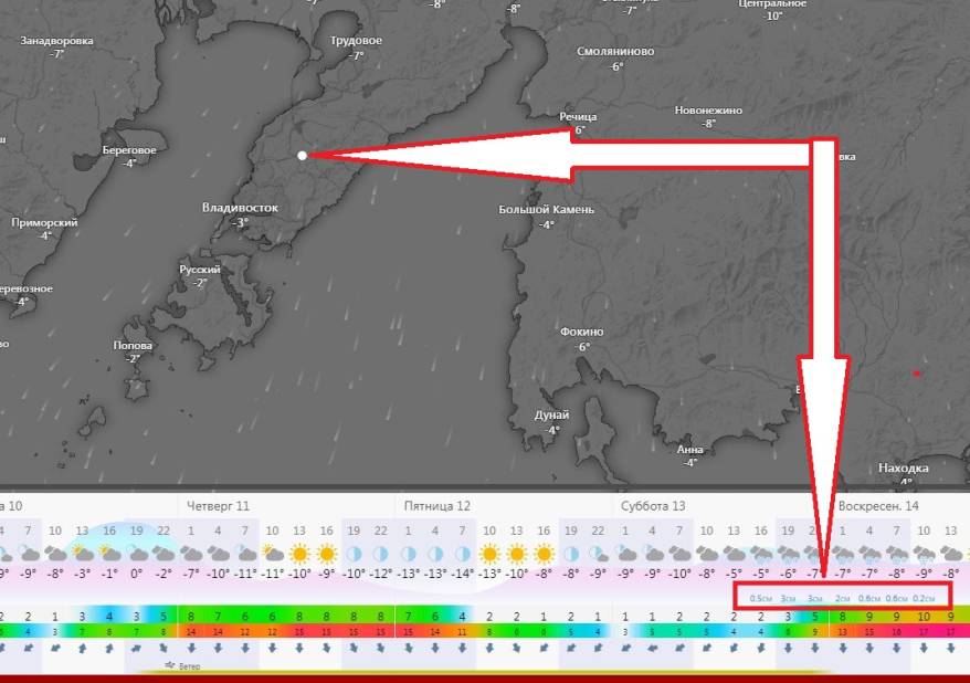 Cиноптики назвали точное время начала мощного снегопада во Владивостоке