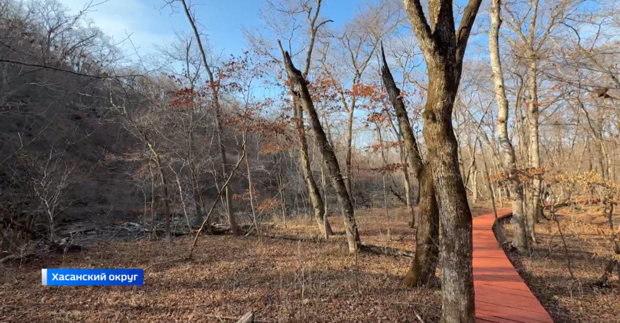 "Навстречу мечте": новую экотропу открыли в нацпарке "Земля леопарда"