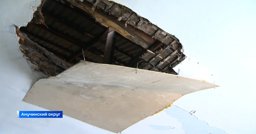 «Лучик Надежды» в беде: в Приморье волонтеры оказались без крыши над головой