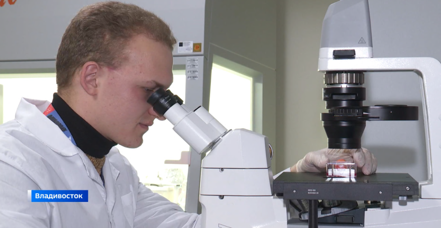 Приморские ученые разрабатывают тест-систему для определения токсичности морских обитателей