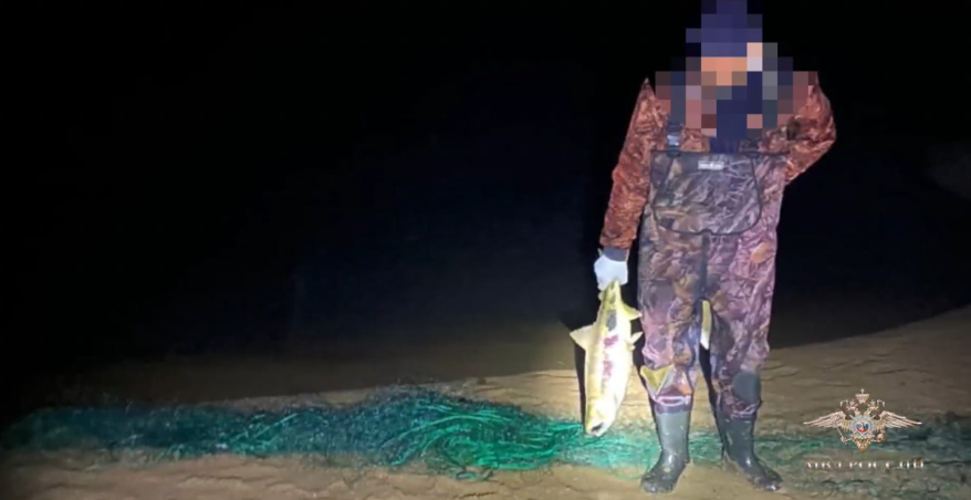 Пять тонн красной рыбы и около тонны икры изъяли в Приморье в ходе операции "Путина"