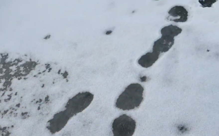 Ушла в ночь и пропала: молодая женщина таинственно исчезла в Приморье