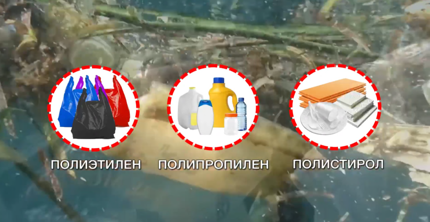 "Пластик на обед": отравляющие частицы обнаружены в морепродуктах, добытых в Приморье