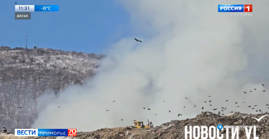 Жители Владивостока жалуются на смог от пожара на мусорном полигоне