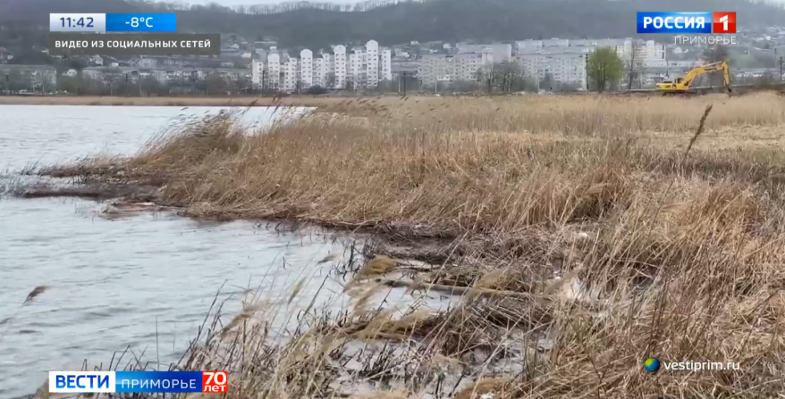 Бездействие местных властей привело к экологической катастрофе на озере Соленом