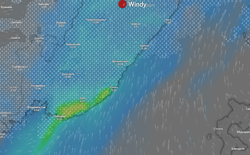 Накроет весь край: мощный двухдневный снегопад обрушится на Приморье