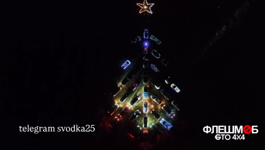 Автоёлка - креативный флешмоб устроили жители Находки