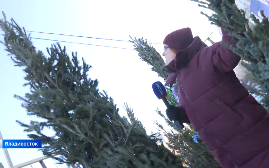 0,5 и даже 0,25 новогоднего настроения. На маркетплейсах набирают популярность половинки ёлок