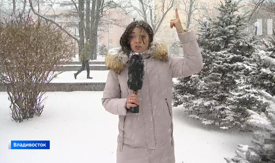 Первый "настоящий" снегопад накрыл Приморье