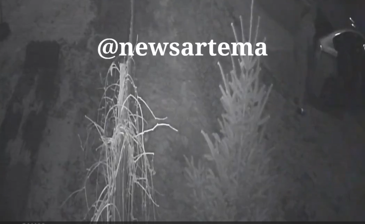 Мерзкий поступок двух мужчин в Приморье попал на видео