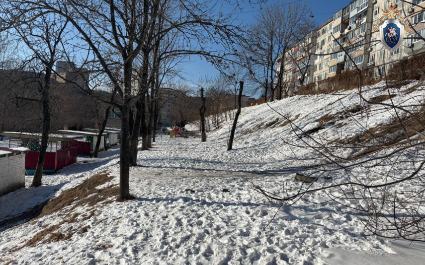 В Приморье возбуждено уголовное дело по факту травмирования ребенка на самодельной горке