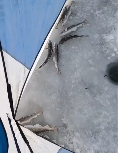 Сотни рыбаков ночуют на льду в Тавричанке в ожидании улова