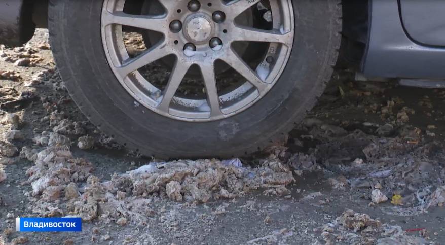 Силовики в Приморье вскрыли «тайник» в автомобиле Haval