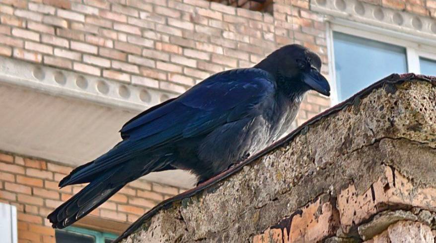 Небольшая облачность и комфортная температура в Приморье